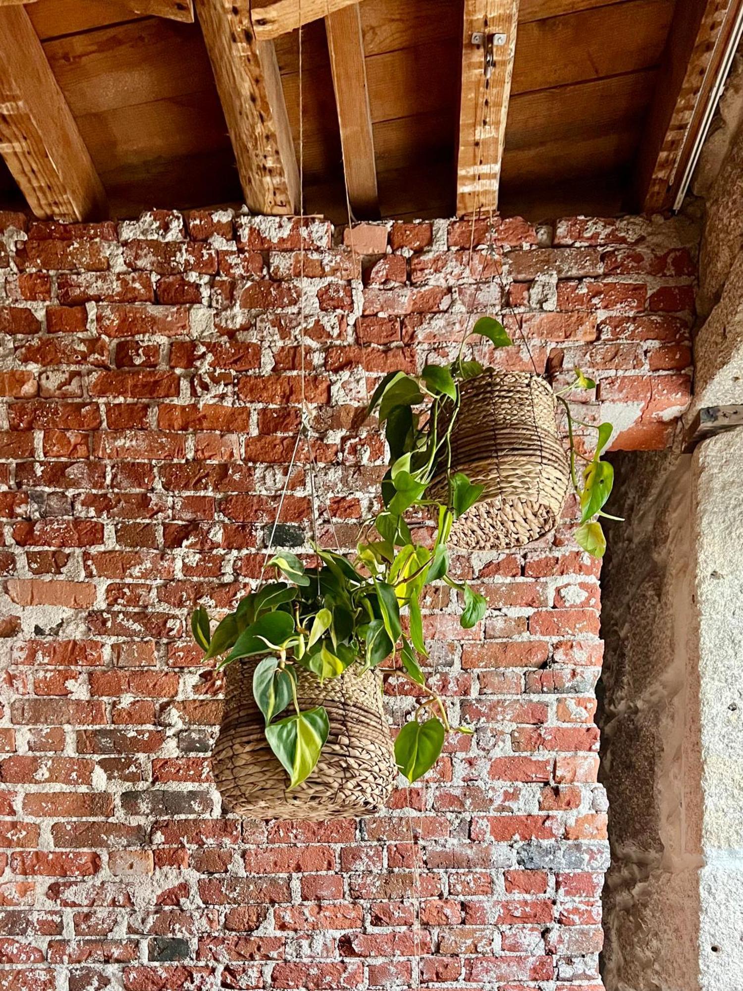 Apartment Element *
