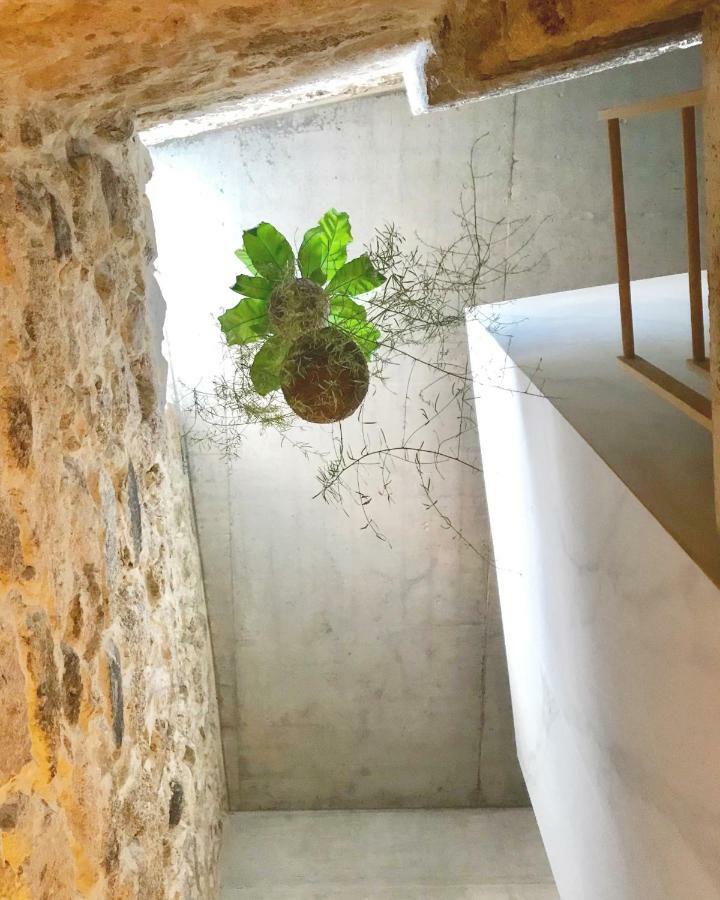 Apartment Element Viseu